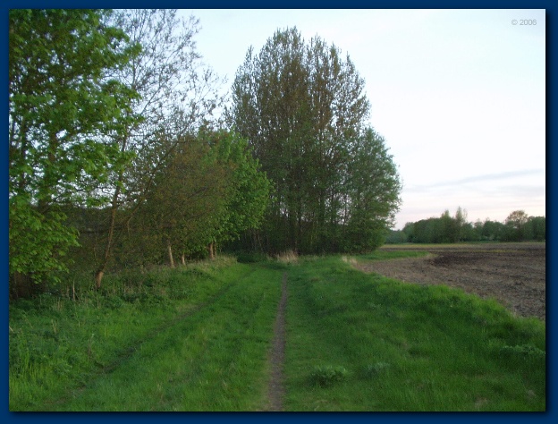 600x449 pixels (134K)